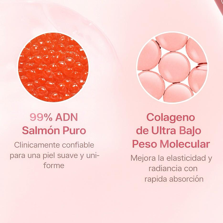 MEDICUBE | PDRN Pink Collagen Exosome Shot 7500 – Sérum Regenerador – 30ml 3