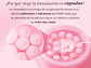 MEDICUBE | PDRN Pink Collagen Capsule Cream -Crema Reafirmante 55g - Miniatura 2