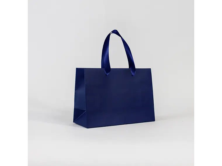 Bolsa Premium talla M  (14x20x8) 1