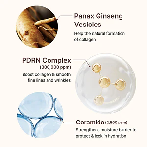 CENTELLIAN24 PDRN Firming Boosting Ampoule 30ml
