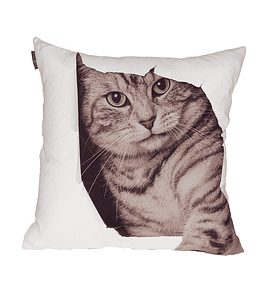 Almofada Decorativa - Cat 1