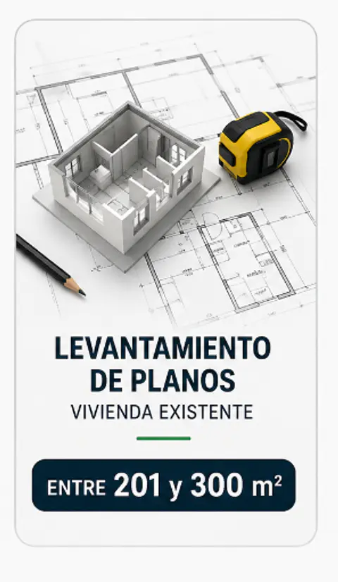 Levantamiento de Planos entre 201 m² y 300 m²