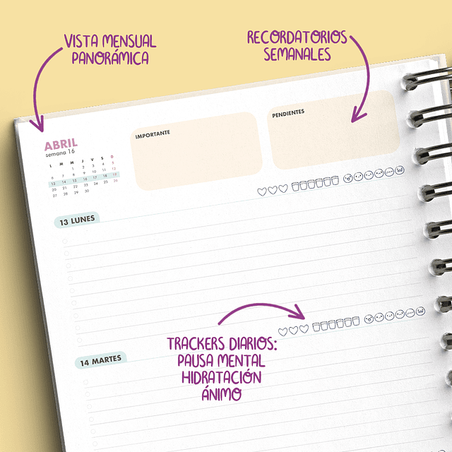 Agenda Terapia Ocupacional 2026