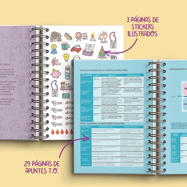 Agenda Terapia Ocupacional 2026