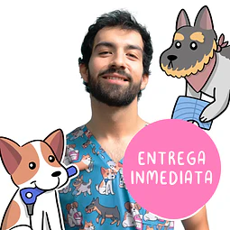 Scrub Perritos Fono - Hombre