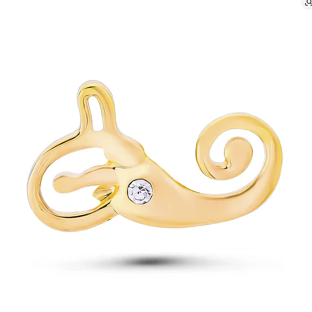 Pin Cóclea