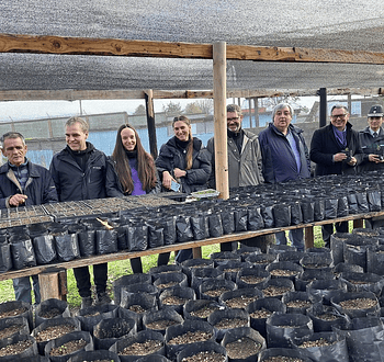 CET Osorno: Producirán árboles nativos para generar reinserción