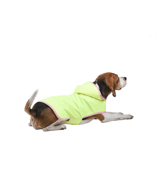 Capa Para Perro Impermeable