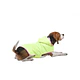 Capa Para Perro Impermeable