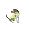 Capa Para Perro Impermeable