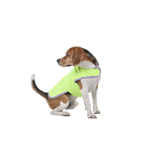 Capa Para Perro Impermeable