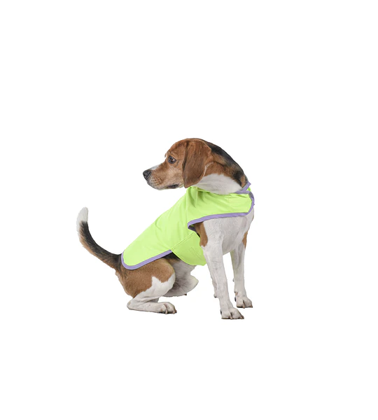 Capa Para Perro Impermeable