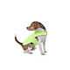 Capa Para Perro Impermeable