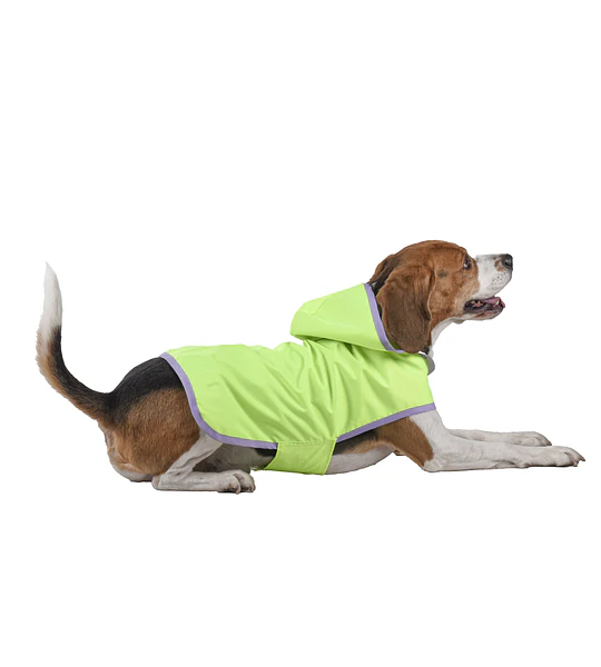 Capa Para Perro Impermeable