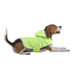 Capa Para Perro Impermeable