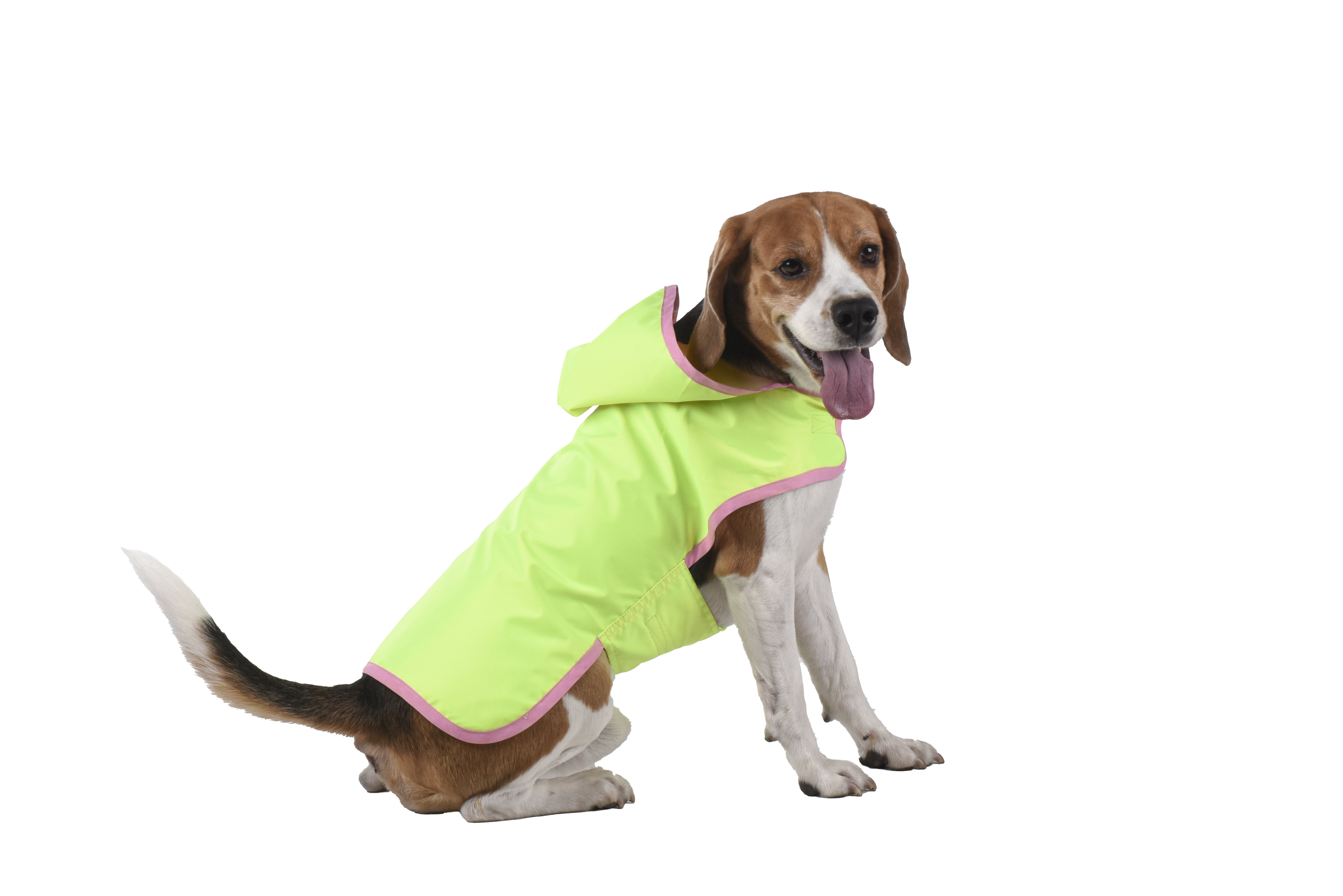 Capa Para Perro Impermeable
