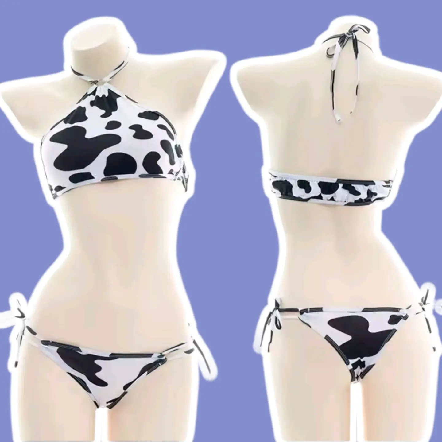 Bikini Vaquita  1