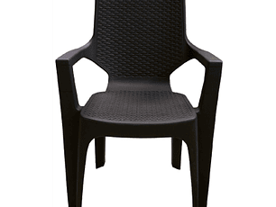 Silla Reggina con brazos/ Colplast