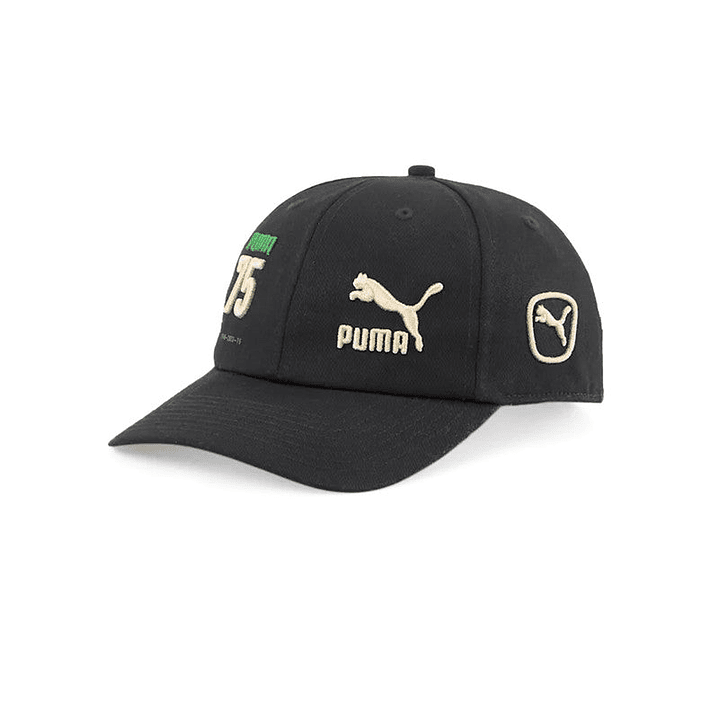 Gorra Puma Prime Anniversary 1