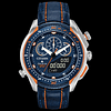 Reloj Citizen eco drive promaster SST 