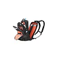 Morral EVERKI Atlas EKP121 Negro 32L para Laptop 13 a 17.3 pulgadas - Miniatura 2
