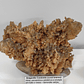 Aragonite Coraloide - Thumbnail 1