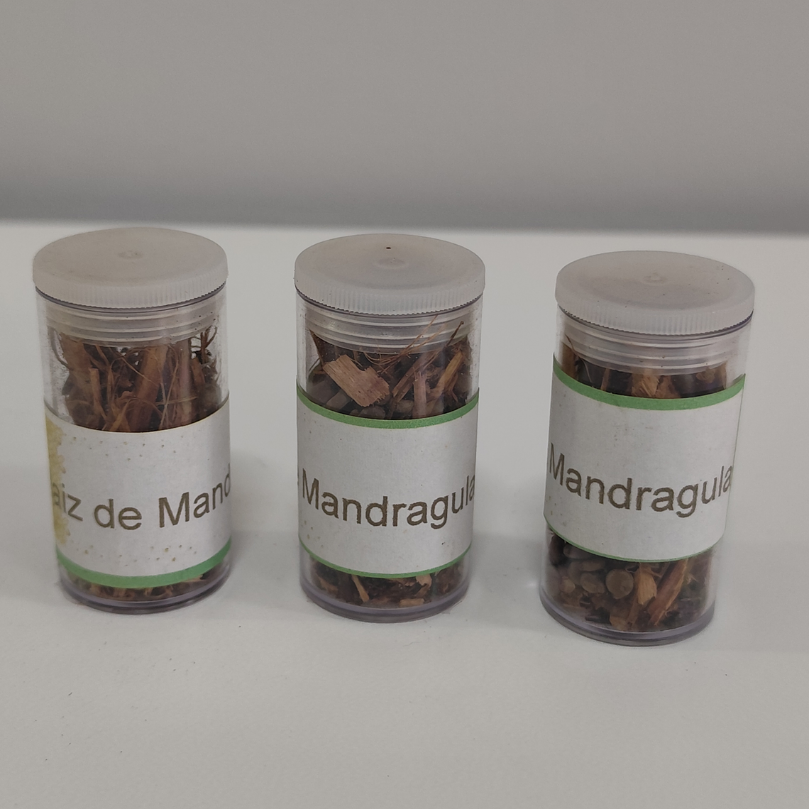 Raiz de Mandrágora 1