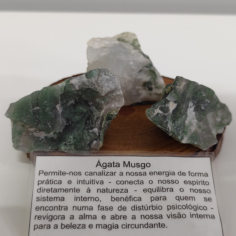 Ágata Musgo 1