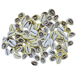 Búzios Africano | Amarelo | Aberto | 100 Gramas