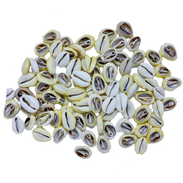 Búzios Africano | Amarelo | Aberto | 100 Gramas 1