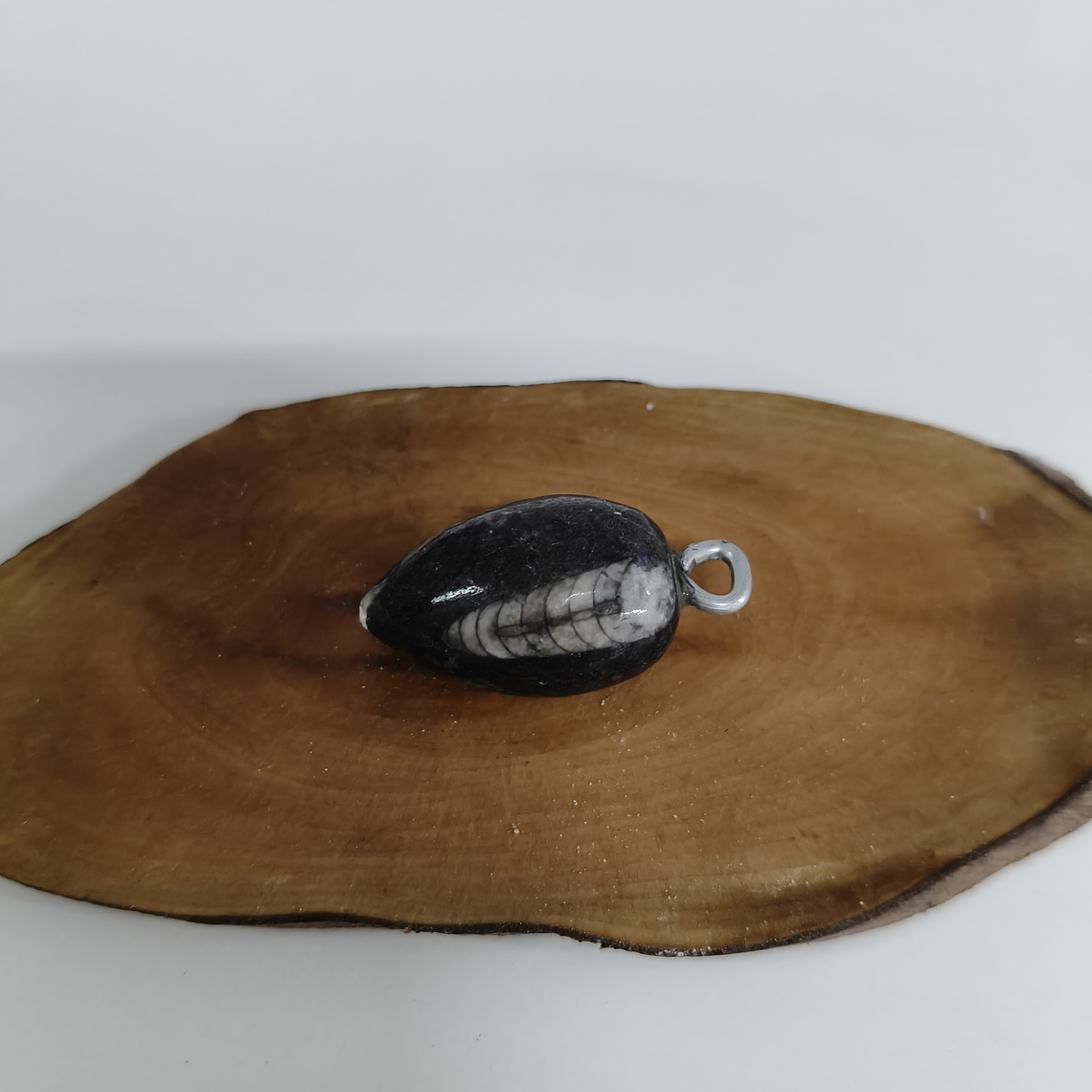 Pingente de Orthocera 1