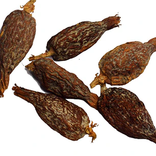 Fava de Ataré | Africana