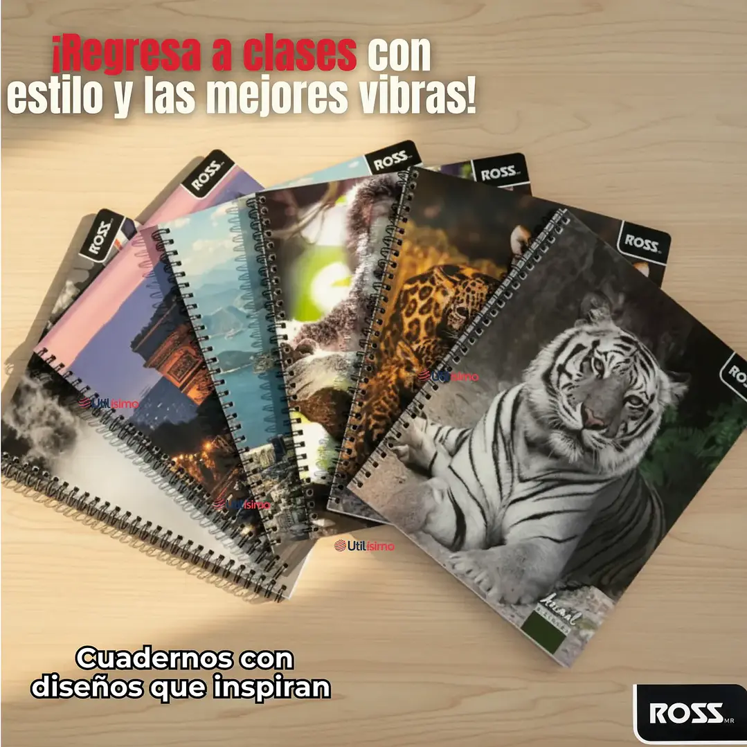 CUADERNO UNIV. 7mms. 100 Hjs.  T/SEMI-DURA DISEÑOS ROSS 1