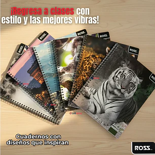 CUADERNO UNIV. 7mms. 100 Hjs.  T/SEMI-DURA DISEÑOS ROSS
