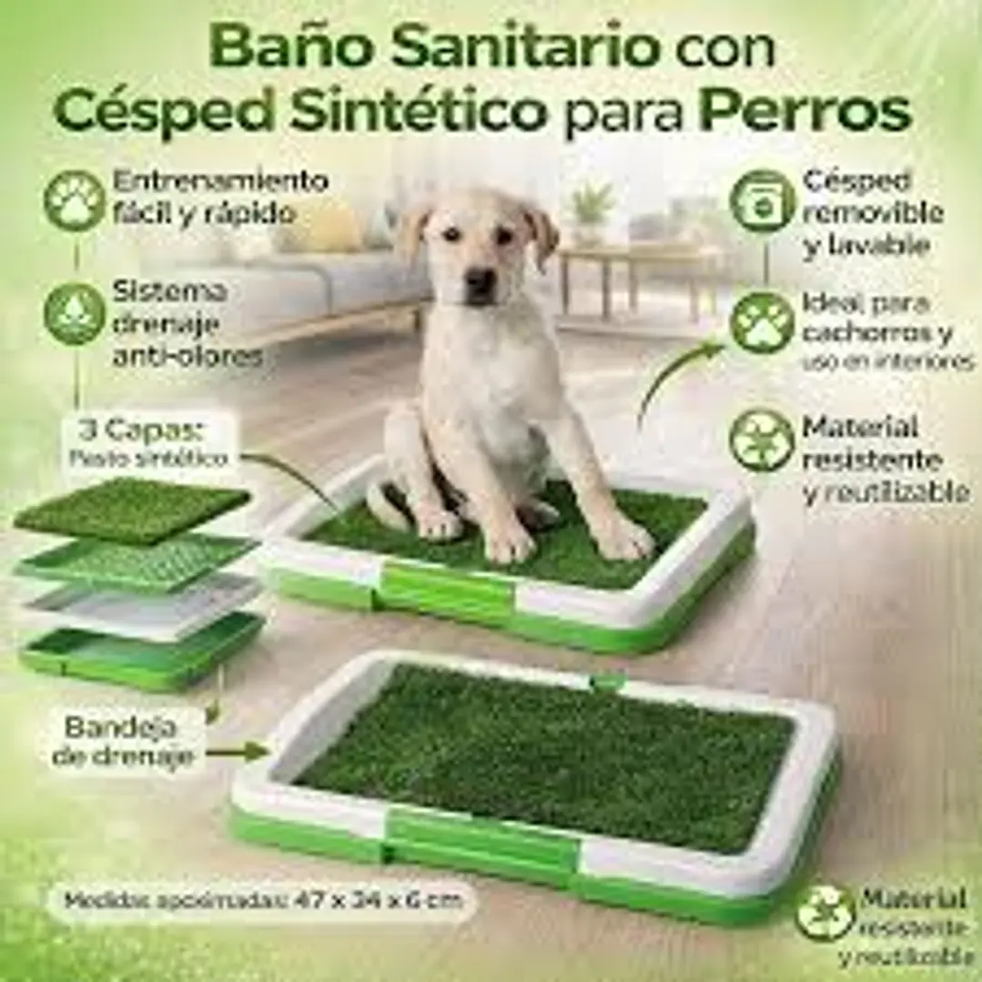 BAÑO SANITARIO CACHORROS 3