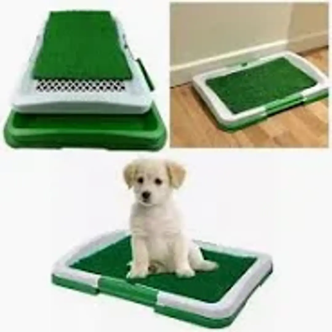 BAÑO SANITARIO CACHORROS 4