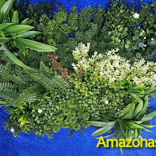 Follaje Amazonas - precio por m2