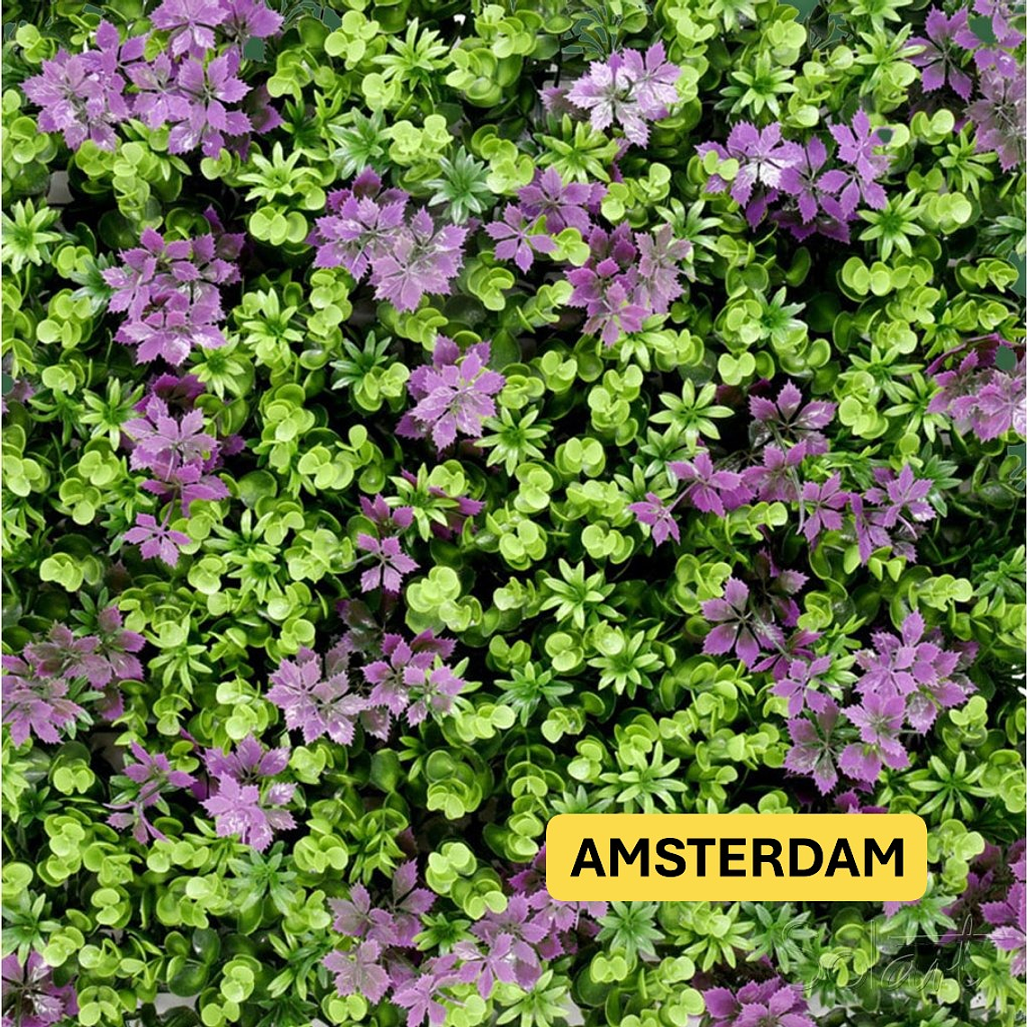 Follaje Amsterdam - precio por m2 1