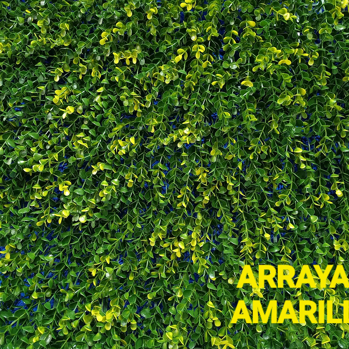 Follaje Arrayan Amarillo - precio por m2 1