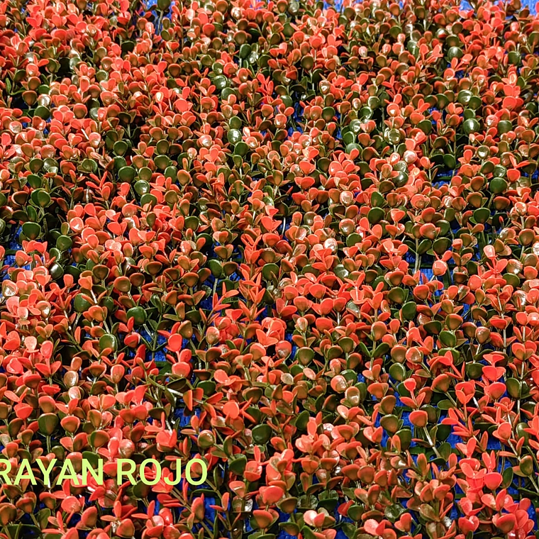 Follaje Arrayan Rojo - precio por m2 1