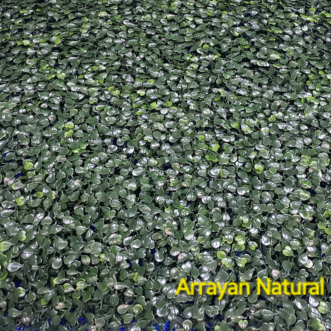 Follaje Arrayan Natural - precio por m2 1