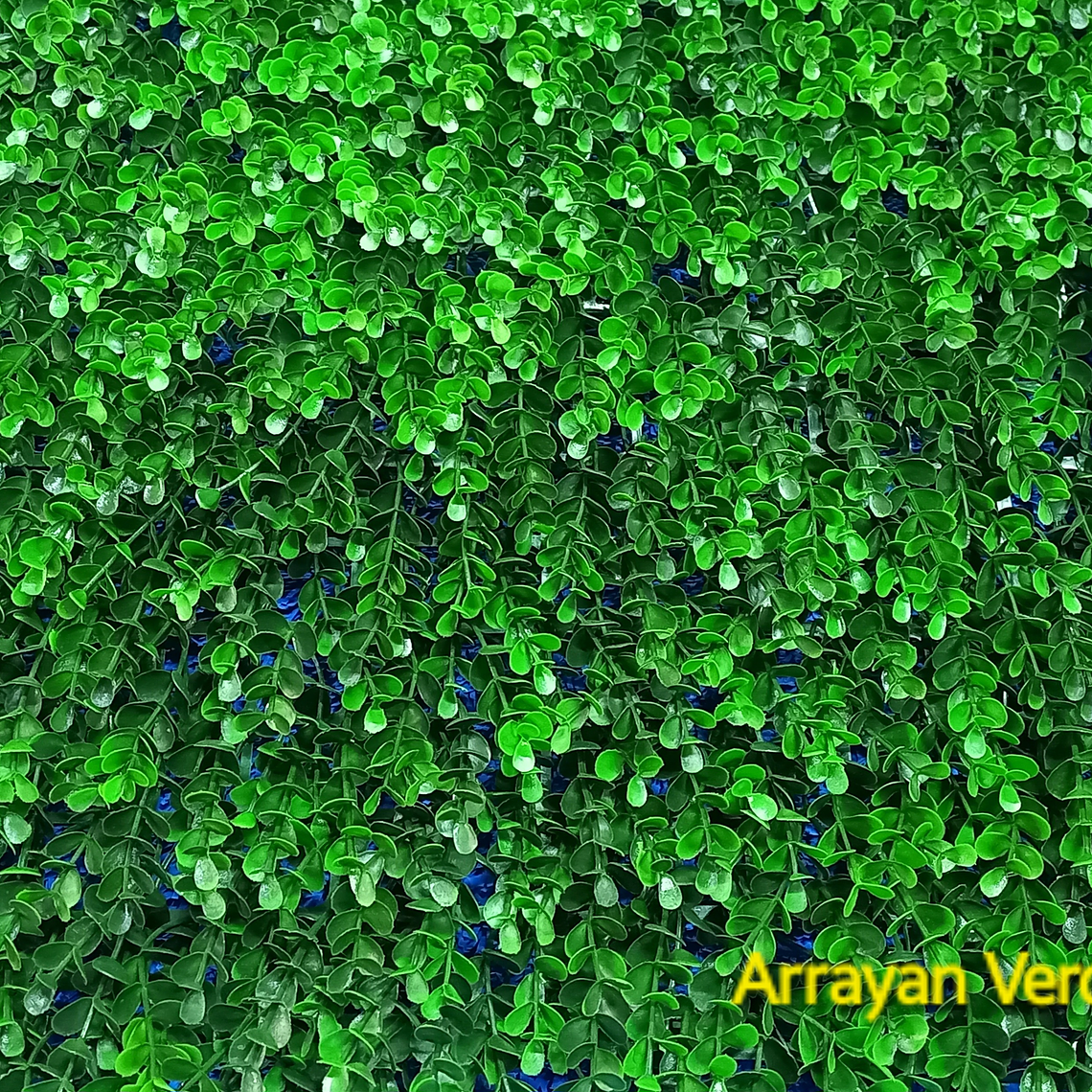 Follaje Arrayan Verde - precio por m2 1