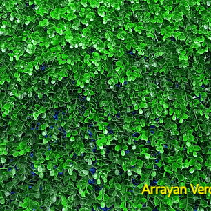 Follaje Arrayan Verde - precio por m2