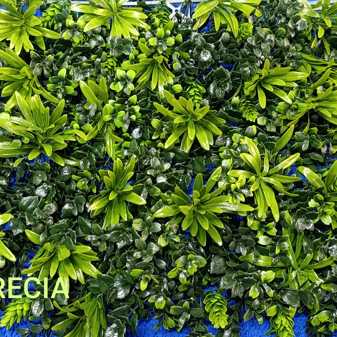 Follaje Grecia - precio por m2 1