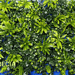 Follaje Grecia - precio por m2