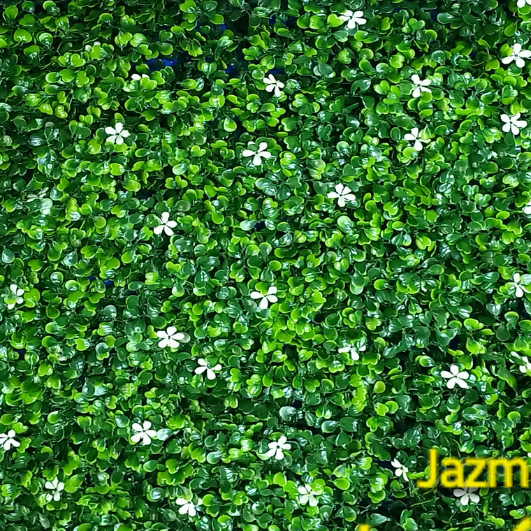 Follaje Jazmin - precio por m2 1