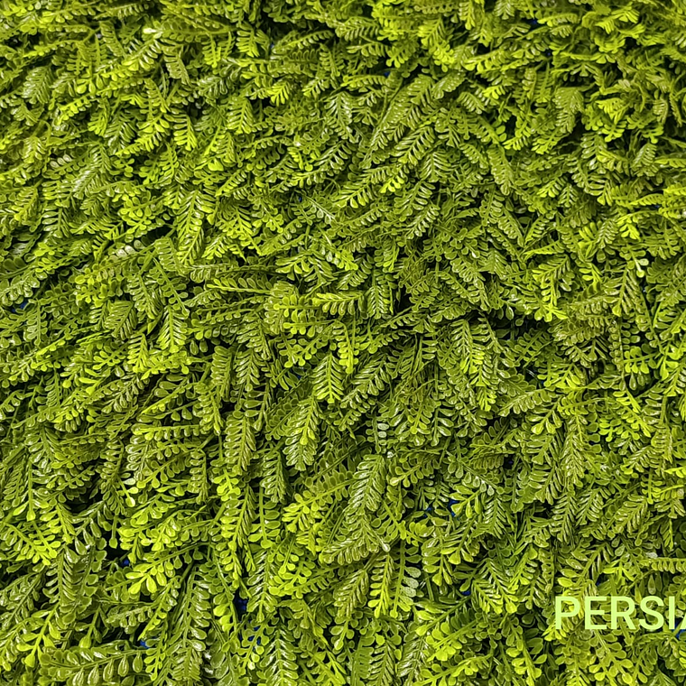 Follaje Persia - precio por m2 1