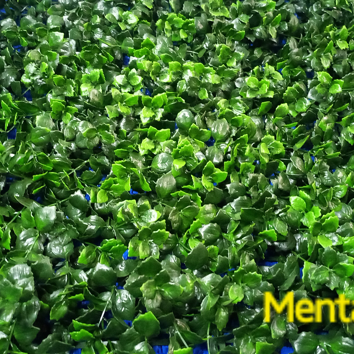 Follaje Menta - precio por m2 1