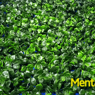Follaje Menta - precio por m2