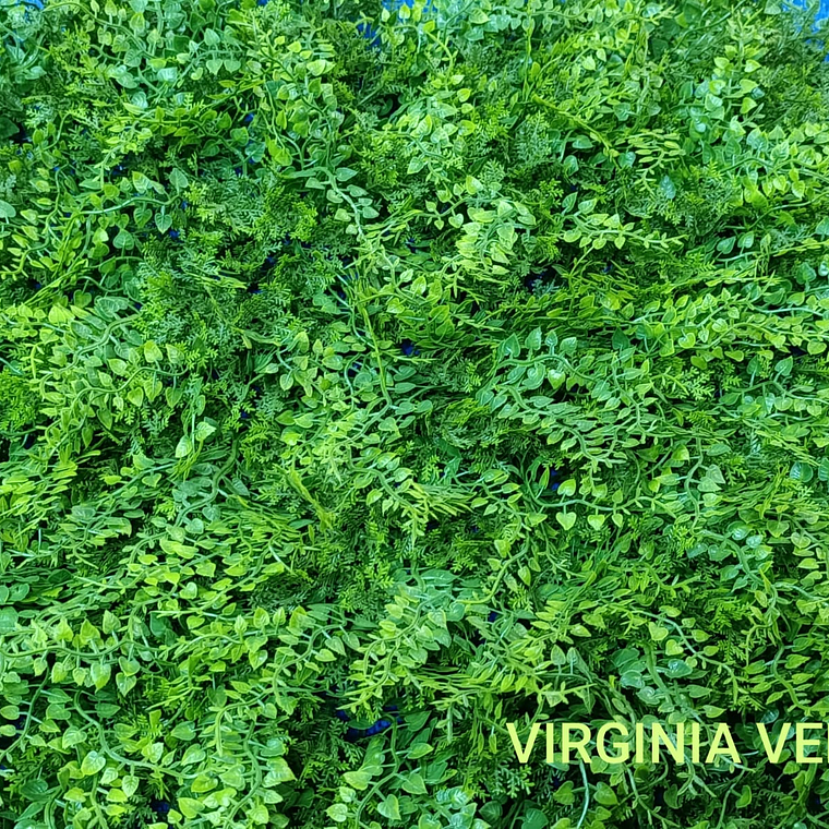 Follaje Virginia - precio por m2 1